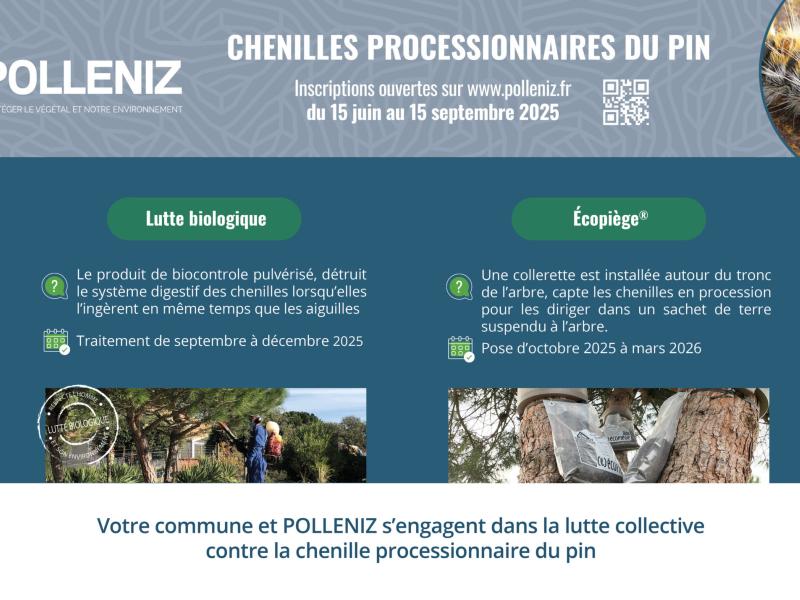 Lutte collective 2025 chenilles processionnaires du pin
