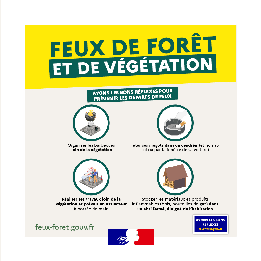 feux de forêt